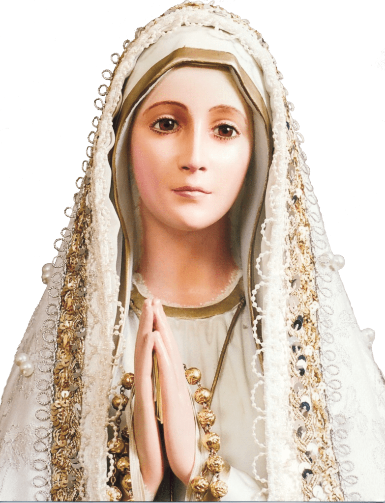 National Pilgrim Virgin Statue image